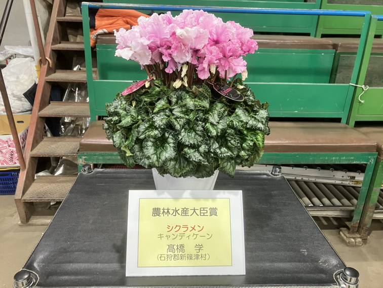 第45回 北海道花き品評会（鉢花の部）』が行われました 新着情報