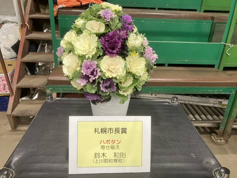 第45回 北海道花き品評会（鉢花の部）』が行われました 新着情報